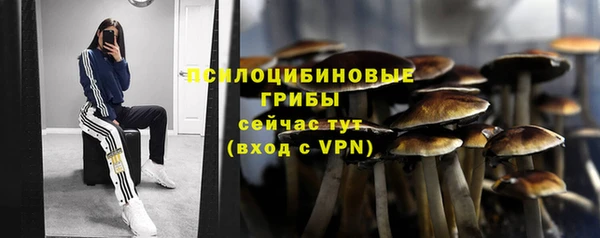 spice Балахна
