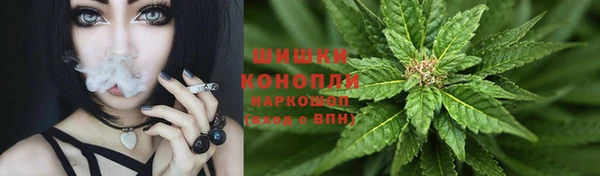 spice Балахна