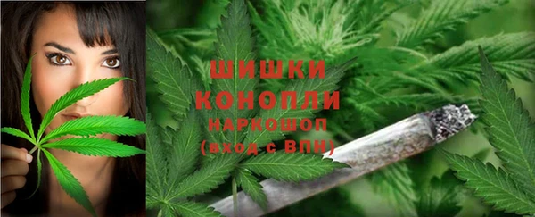 spice Балахна