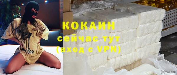 молекула духа Ельня
