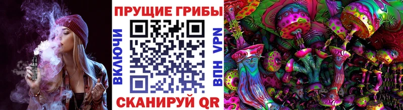 купить закладку  Грайворон  Псилоцибиновые грибы Cubensis 